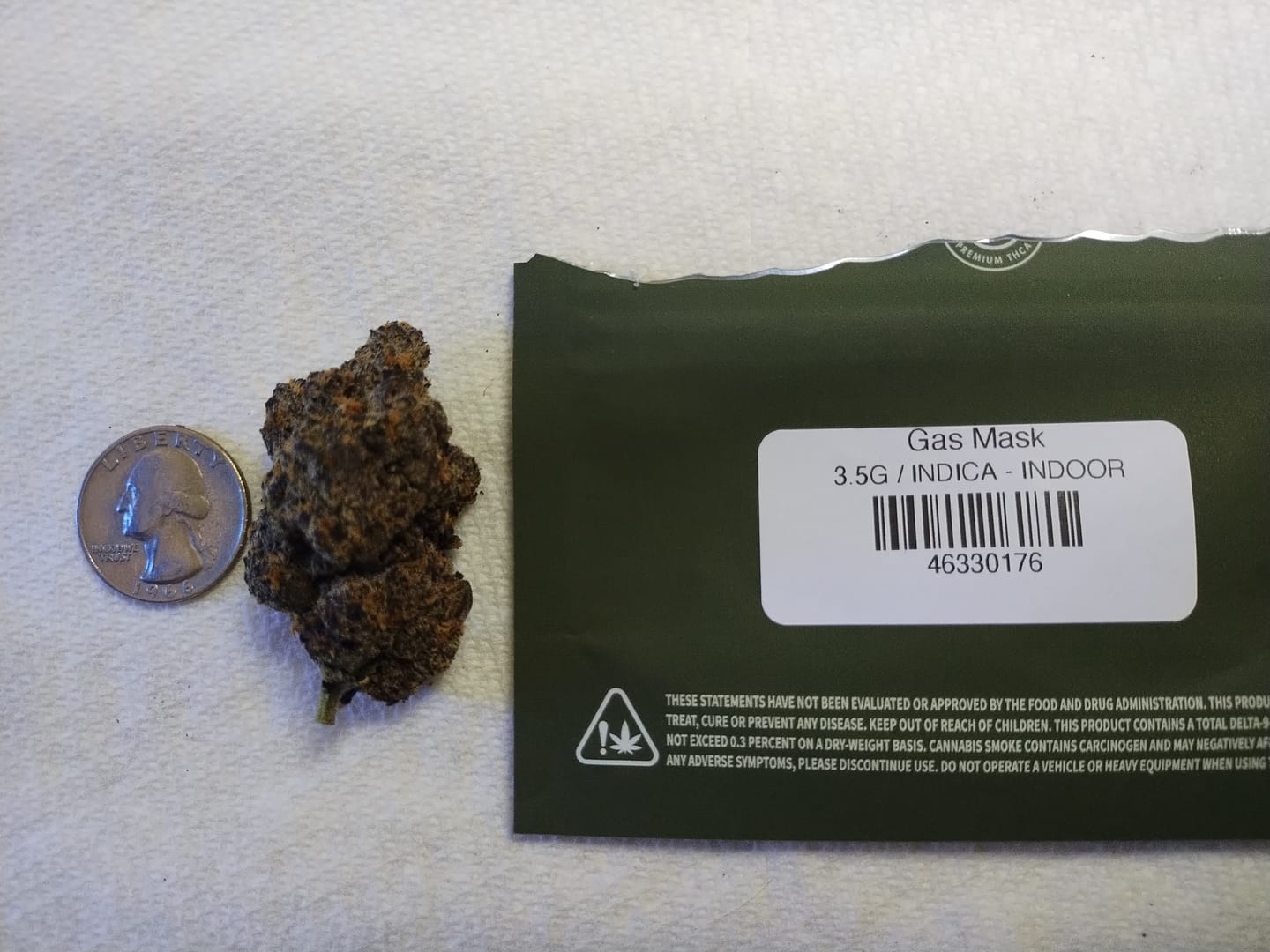 Customer photo review of Gas Mask