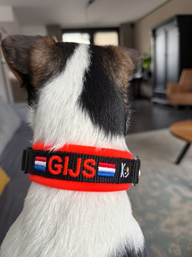 Customer photo review of Neoprene Dog Collar with Name - S | 4Kyon