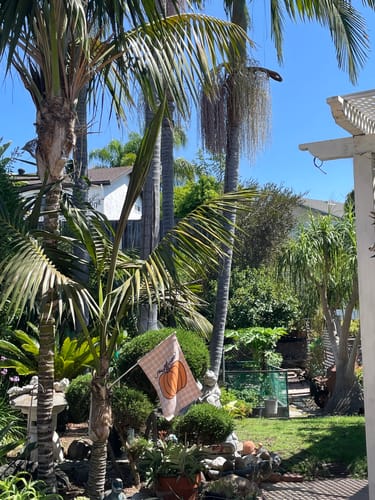 Customer photo review of F*ck Trump Autumn Pumpkin Garden Flag