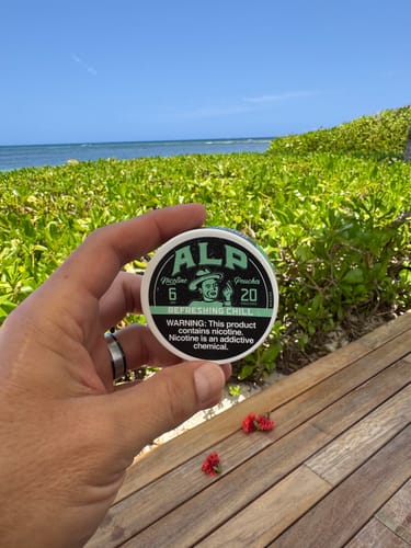 Customer photo review of Refreshing Chill Nicotine Pouches