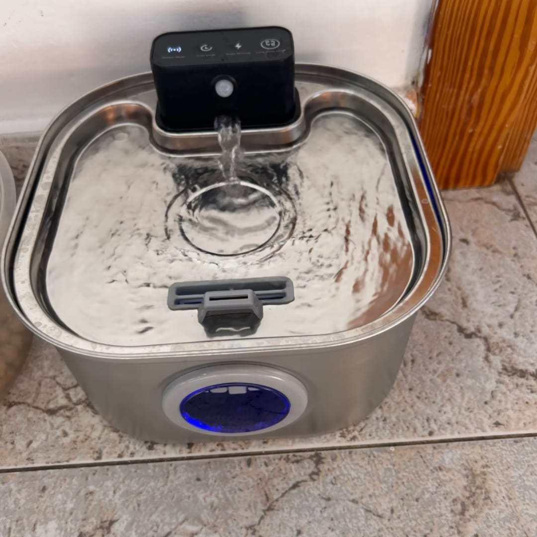 Customer photo review of PfotenBrunnen™ - Der automatischer Katzenwasserspender