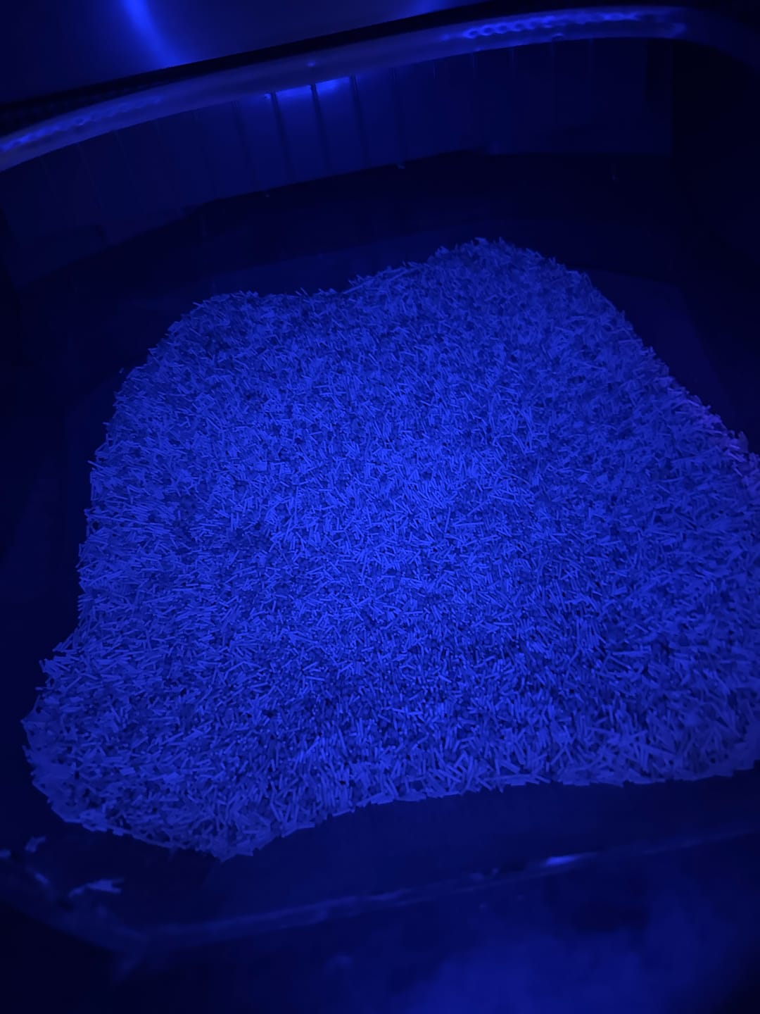 Customer photo review of ELS PET Mixed Cat Litter
