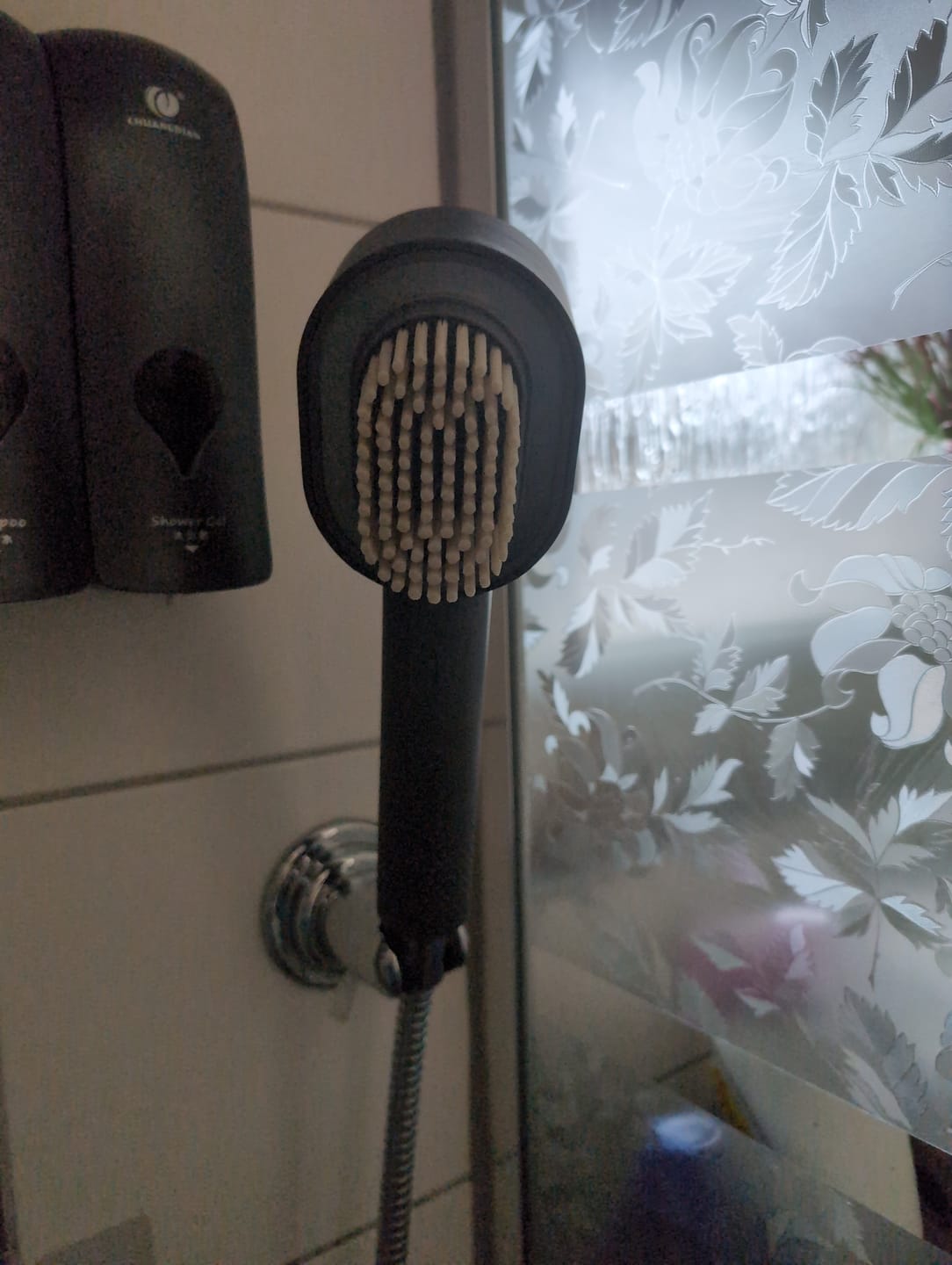 Customer photo review of Doyoo Pure Pflegeaufsätze - Peelingschwamm & Waschbürste - gratis