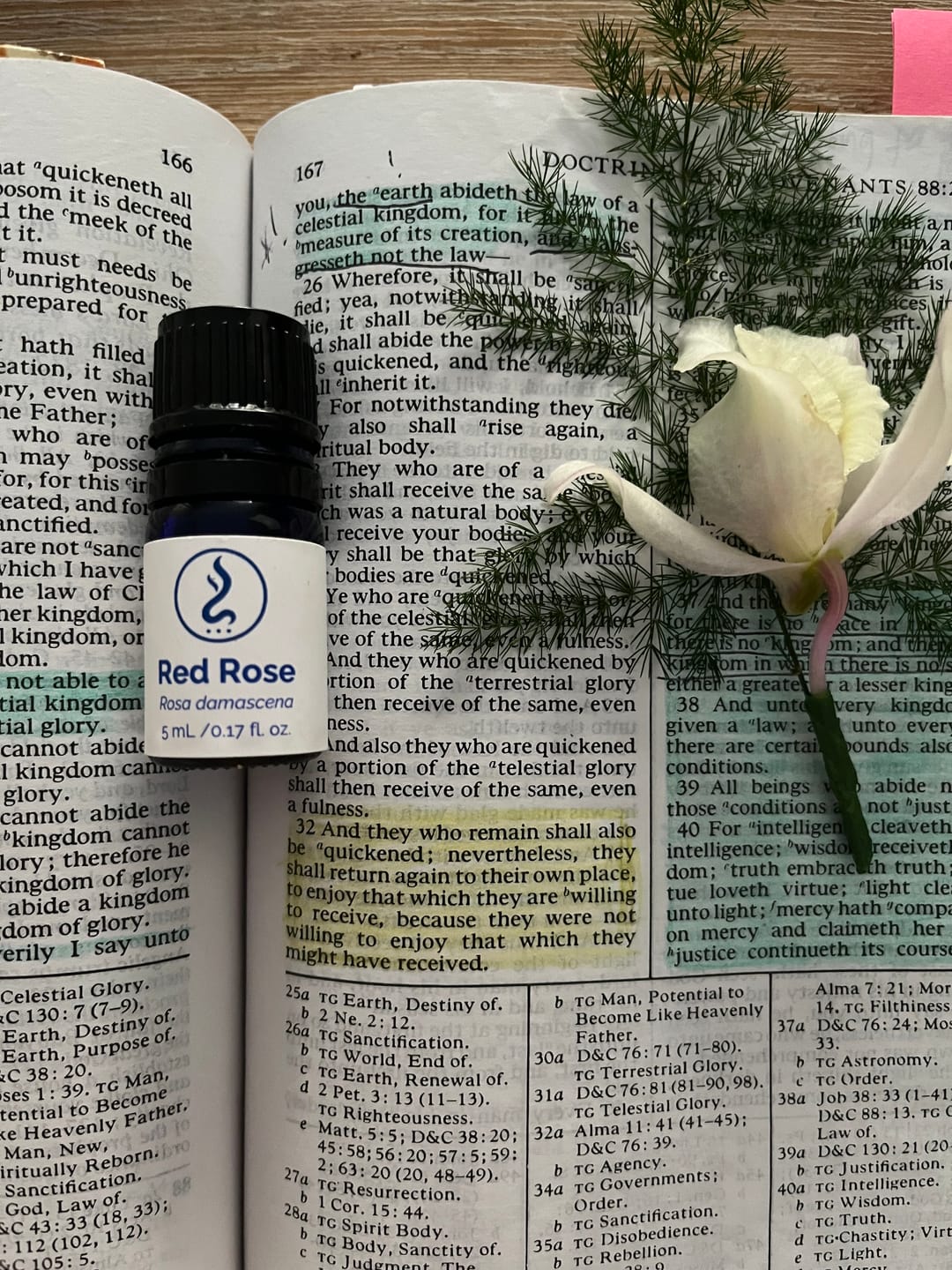 Customer photo review of Red Rose Oil 5mL
