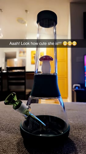 Customer photo review of Bong Percolator Tube - Mushroom 🍄