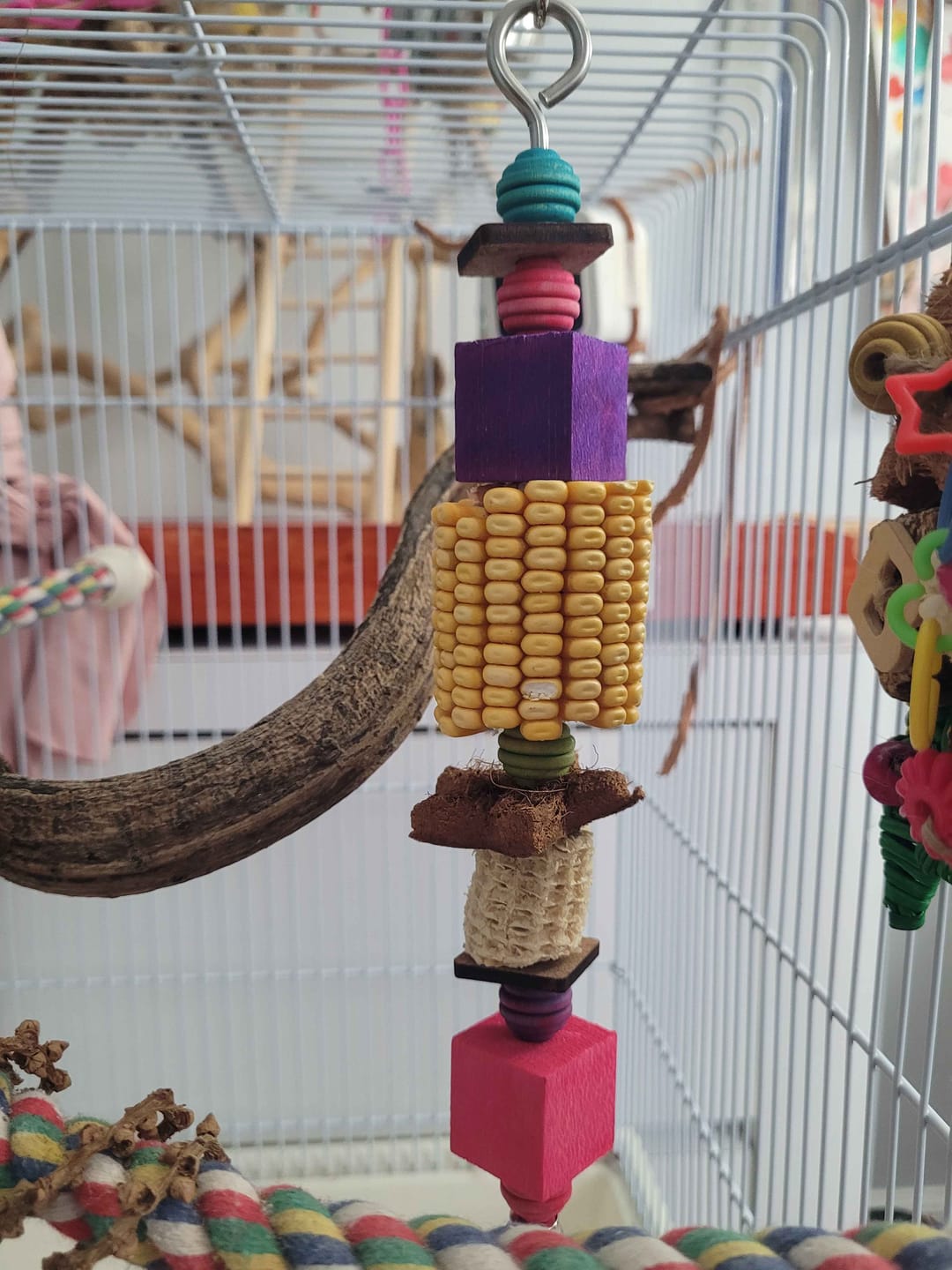 Customer photo review of Drilled Corn Chunks - 5 Pack