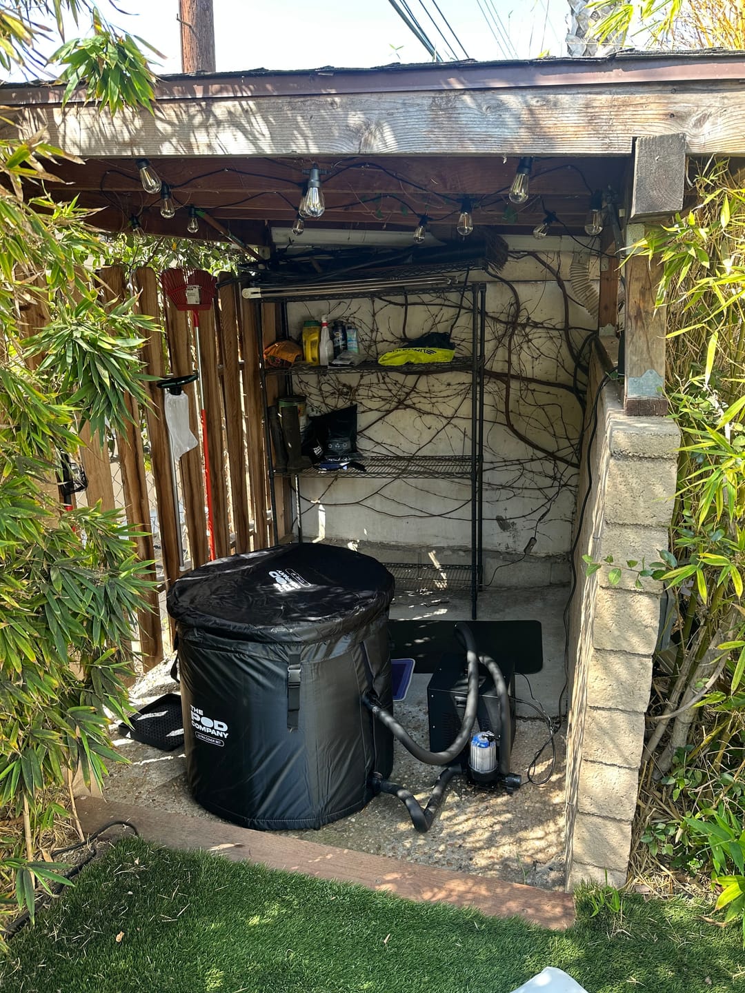 Customer photo review of The Ice Pod