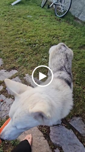 Customer video review of Crunchy Feet Bundle