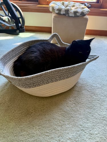 Customer photo review of Instinct Basket | Handwoven & Chemical-Free Cat Territory