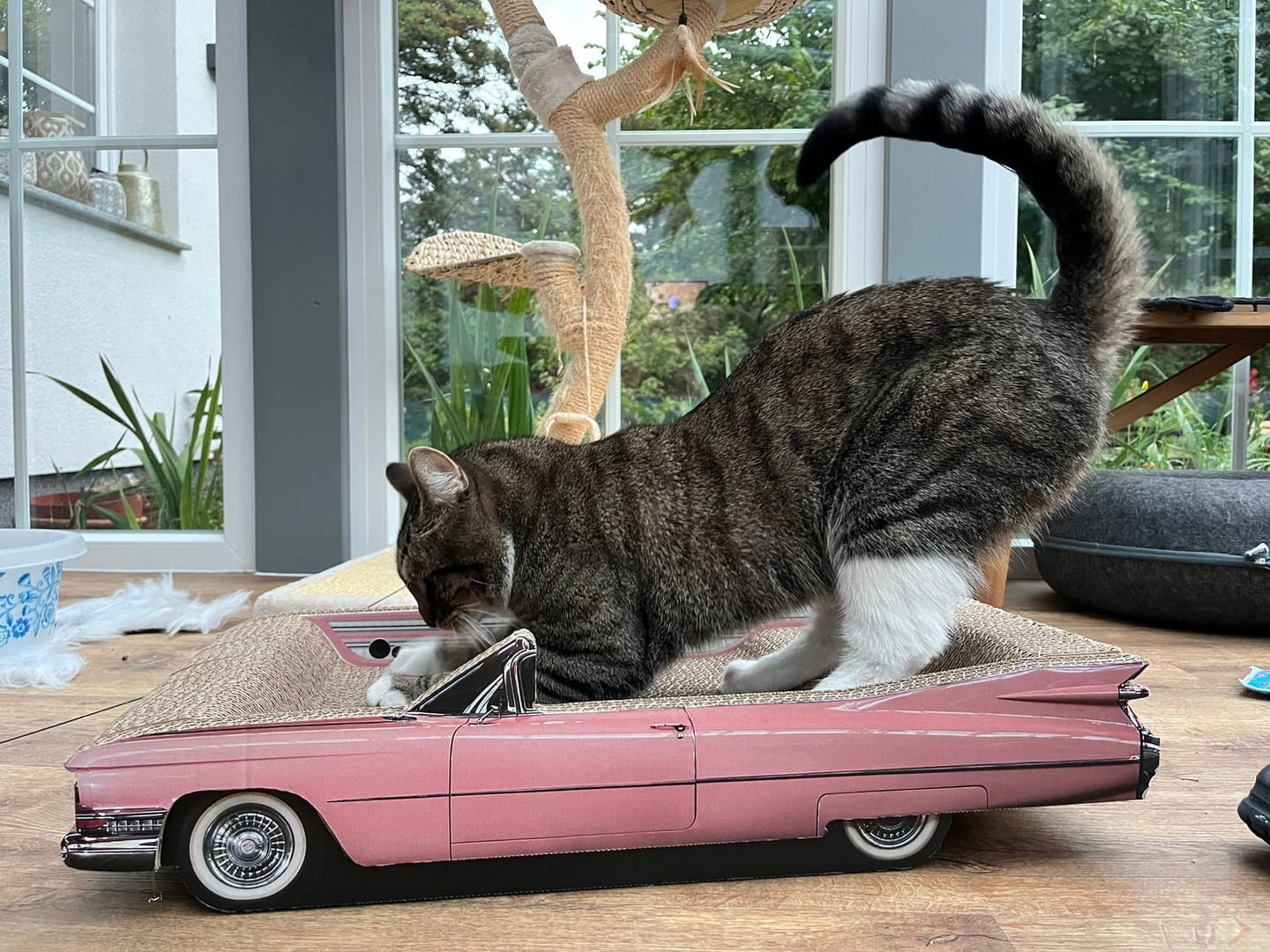 Customer photo review of „Catillac" Kratzmöbel