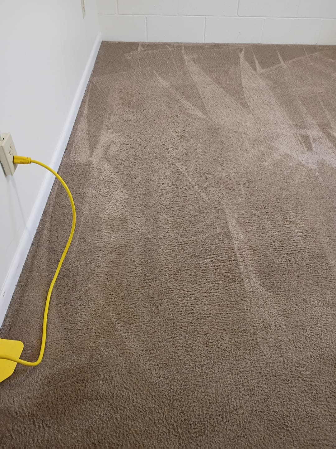 Customer photo review of ~ Releasit Encap-Punch (1 Gallon) Carpet Cleaning Encapsulation Pre-Spray [Encap]