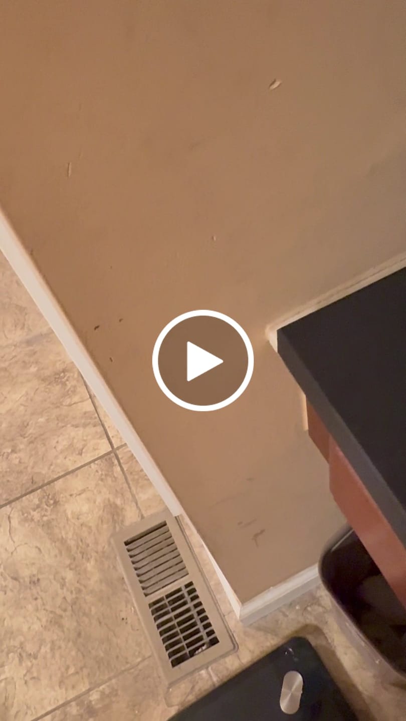 Customer video review of #Imagine