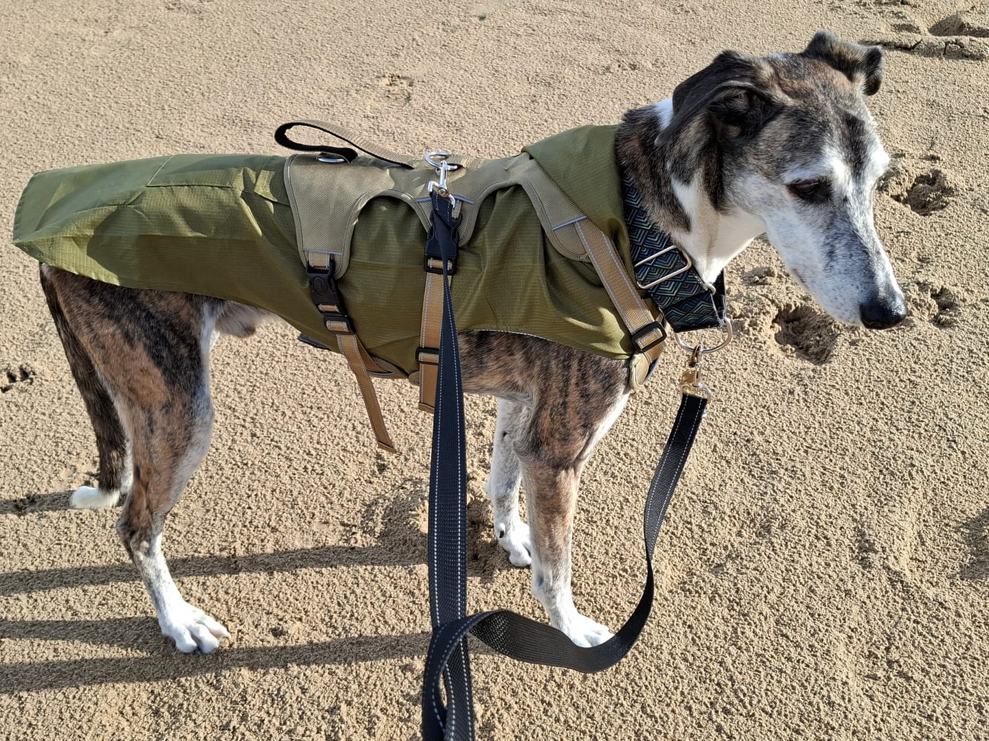 Customer photo review of HarnessPro - Escapeproof Verstelbaar Hondentuig