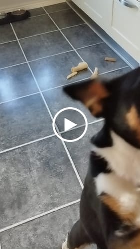 Customer video review of Express Håndtering
