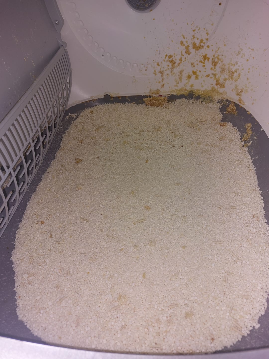Customer photo review of Michu Wonder Litter - Plant-Based & Automatic-Box Friendly 2.5kg/6L
