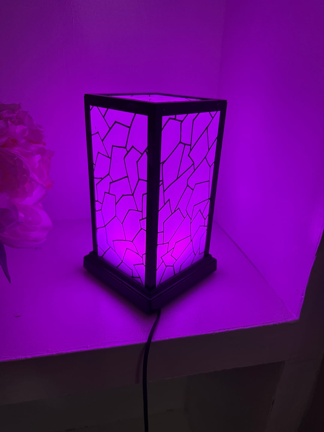 Customer photo review of Bridge Kit