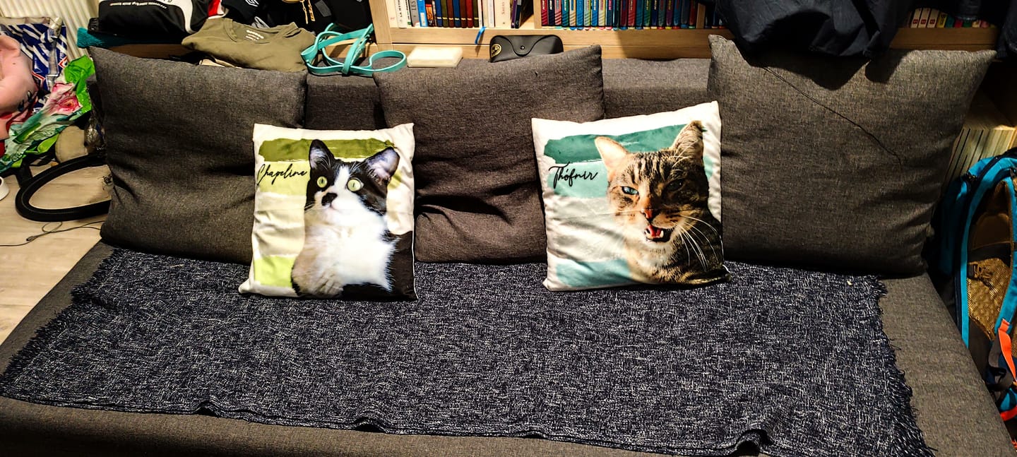 Customer photo review of Photo avec rayures aquarelles - Coussin personnalisé