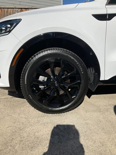 Customer photo review of Tire Cleaner