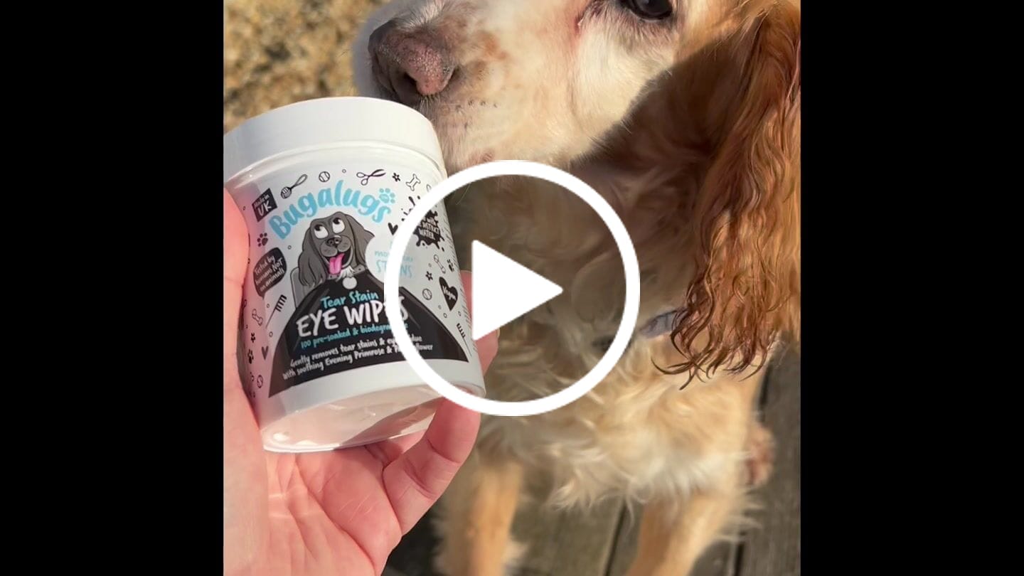 Customer video review of Tear Stain Eye Wipes for Dogs 100 Pre-soaked & Biodegradable Wipes