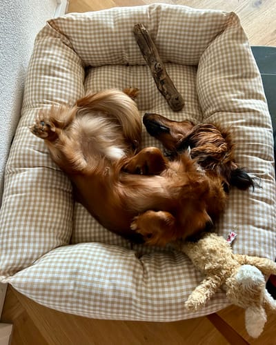 Customer photo review of Divanetto Vichy Beige