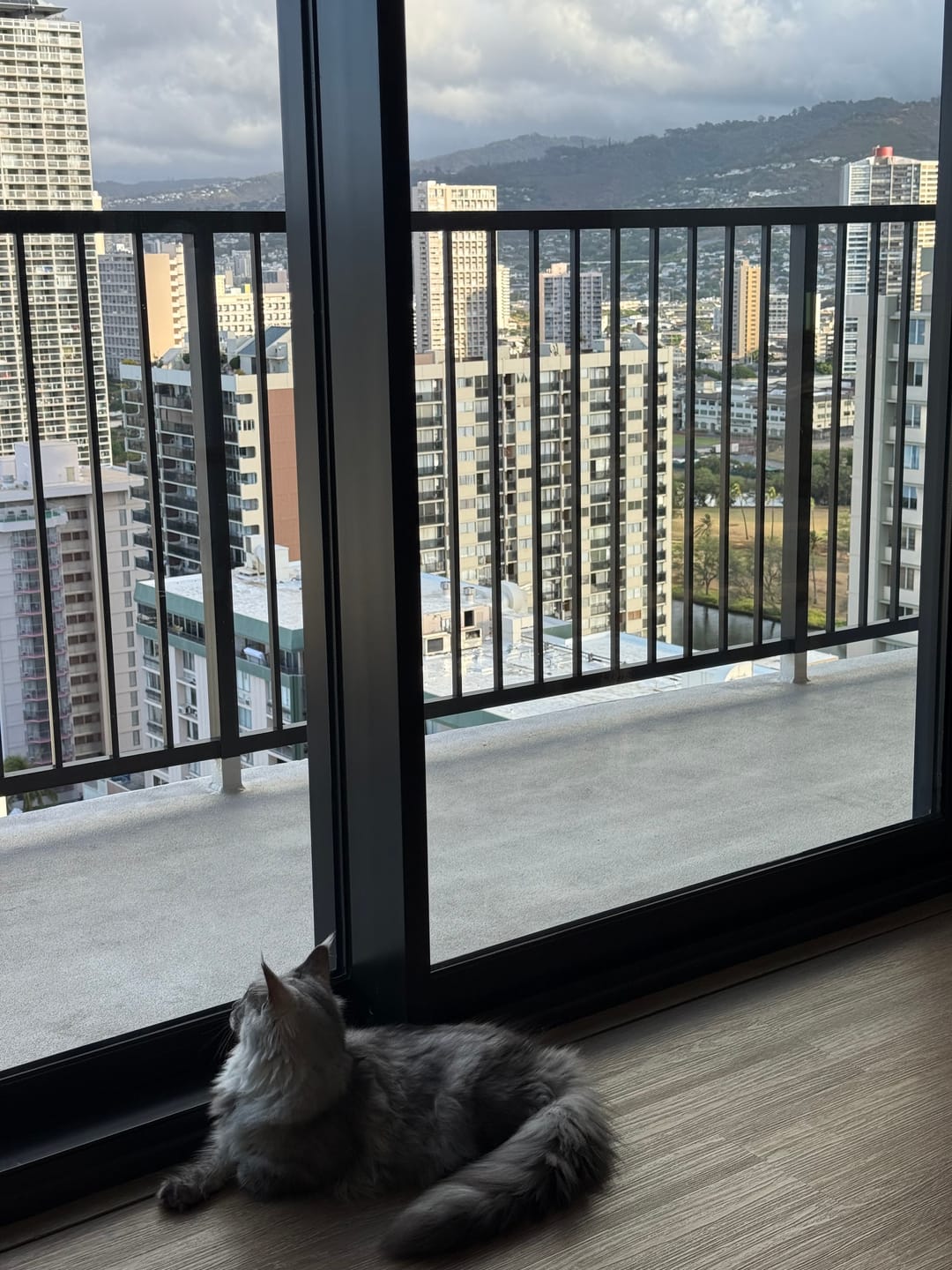 Customer photo review of ValMinimal Sectional