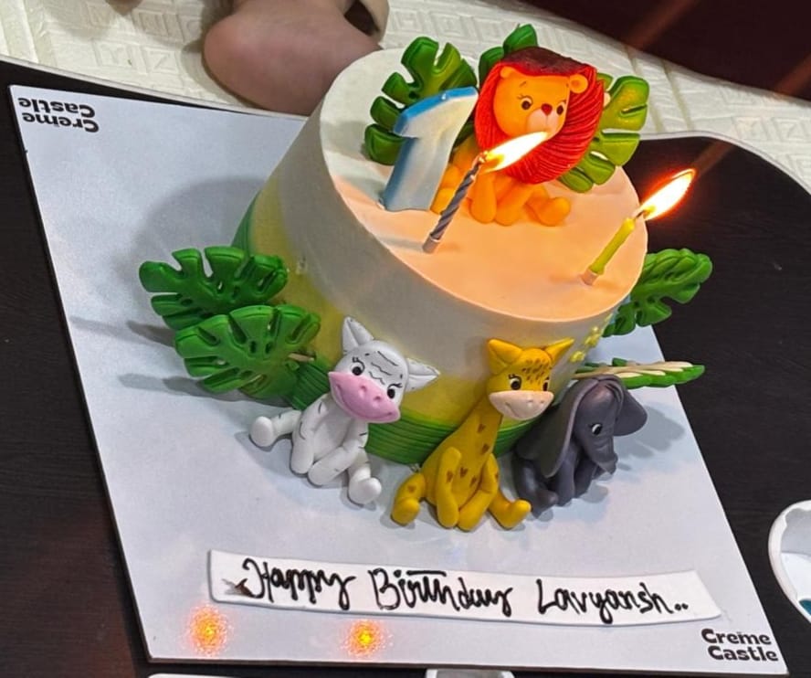 Customer photo review of Animal Party Birthday Cake