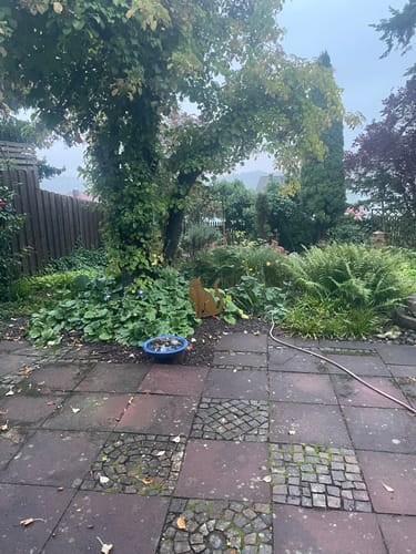 Customer photo review of Gartenstecker Katze sitzend