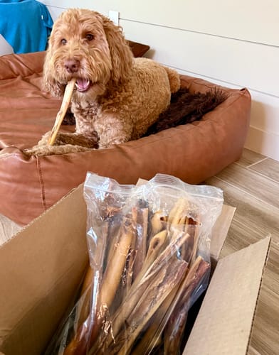 Customer photo review of $20 Wholly Pup Gift Card