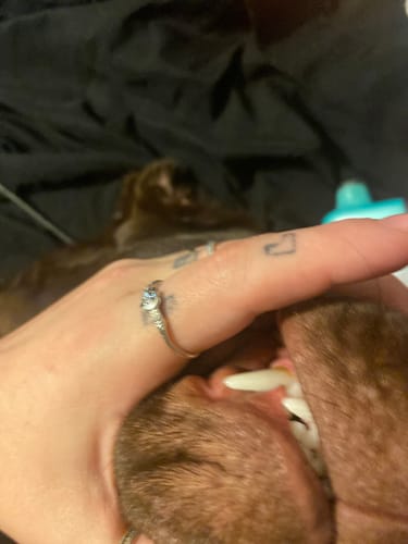 Customer photo review of Mouthology Toothpaste (1 pack)