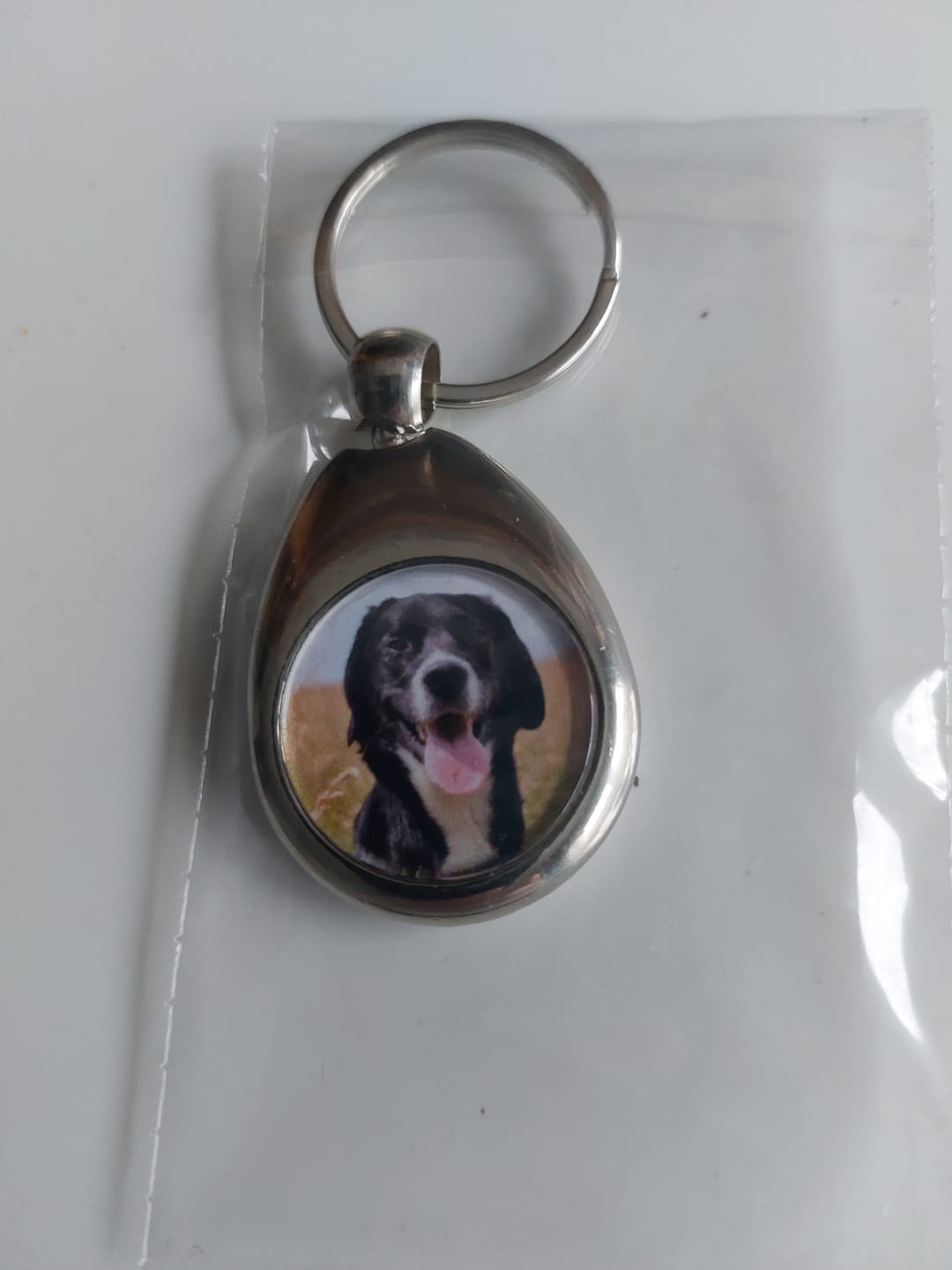 Customer photo review of Schlüsselanhänger mit Hundefoto