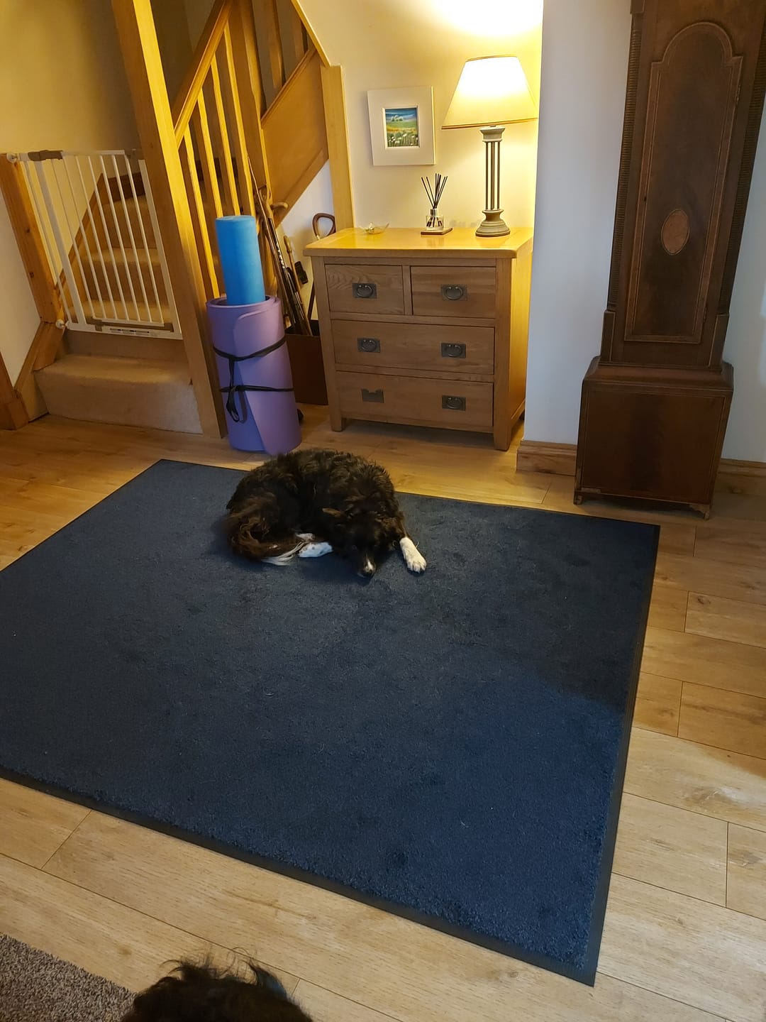 Customer photo review of TRI GRIP HEAVY-DUTY MATS