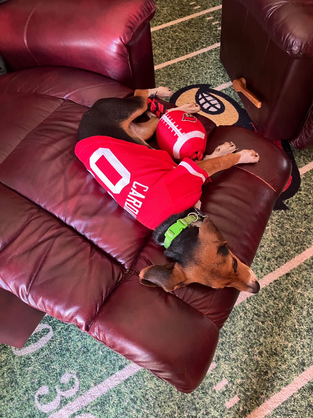 Customer photo review of Custom Red White Classic Style Dog Jersey