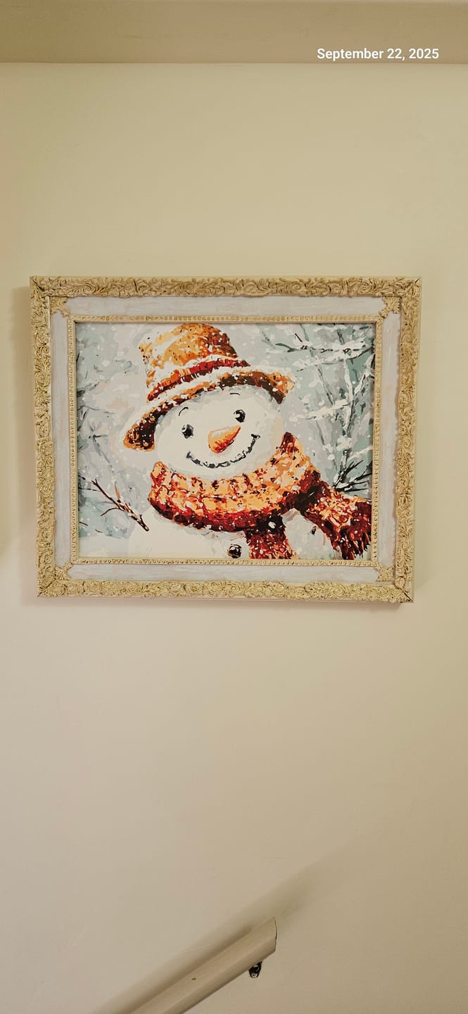 Customer photo review of Mr. Snowman