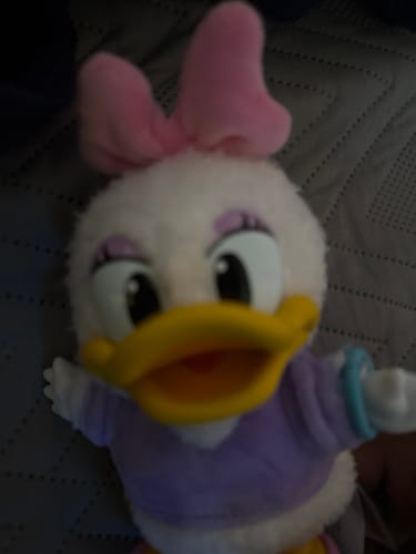 Customer photo review of MlCKEY FAMILY Cute Together Keychain Series Plush Blind Box mickey