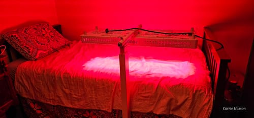 Customer photo review of Pro Mounting Options