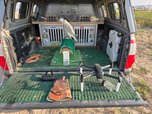 Customer photo review of Spare Propellers Set of 4