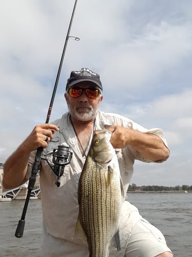 Customer photo review of Spinning Pre-Built Rod