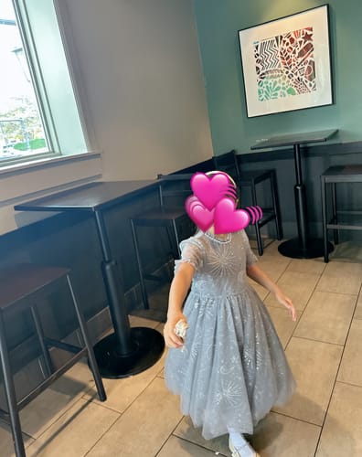 Customer photo review of Girls Sequin Embroidered Tulle Dress - Starlight Silver