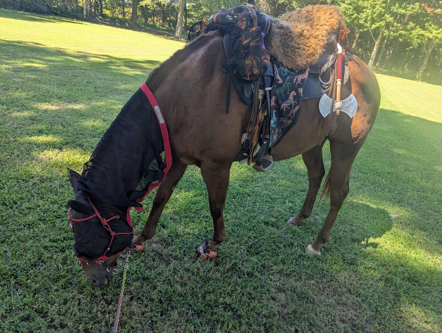 Customer photo review of Renegade® Viper Shield™ Hoof Boot Seconds - Arizona Copper
