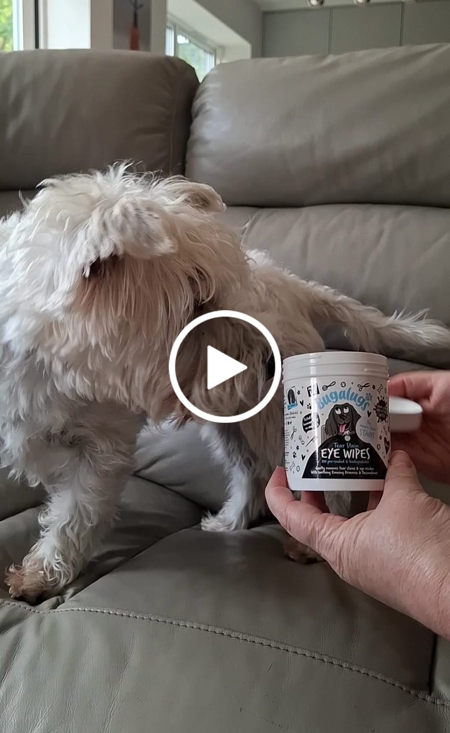 Customer video review of Tear Stain Eye Wipes for Dogs 100 Pre-soaked & Biodegradable Wipes