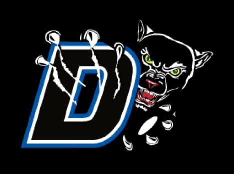 Customer photo review of DTF Transfers Gangsheet Builder