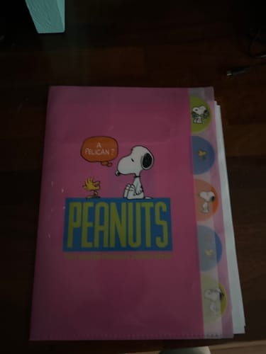 Customer photo review of Sun-Star Peanuts Snoopy Folder With Dividers - Pink - New Limited Edition