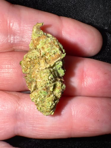 Customer photo review of Wedding Cake THCA Flower Smalls