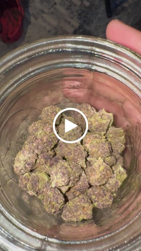 Customer video review of Granddaddy Purple - 28 Grams - Indica