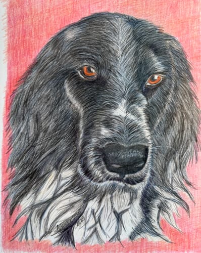Customer photo review of Derwent Inktense Custom Pencil 6-set