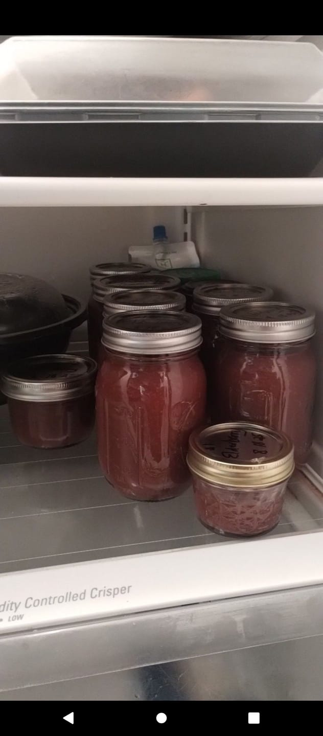 Customer photo review of Full Spectrum Irish Sea moss