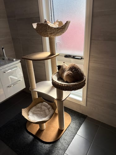 Customer photo review of Woven Rattan Multi-Level Cat Tree (K903) – 6 Tiers with Full Sisal Posts & Multi-Beds