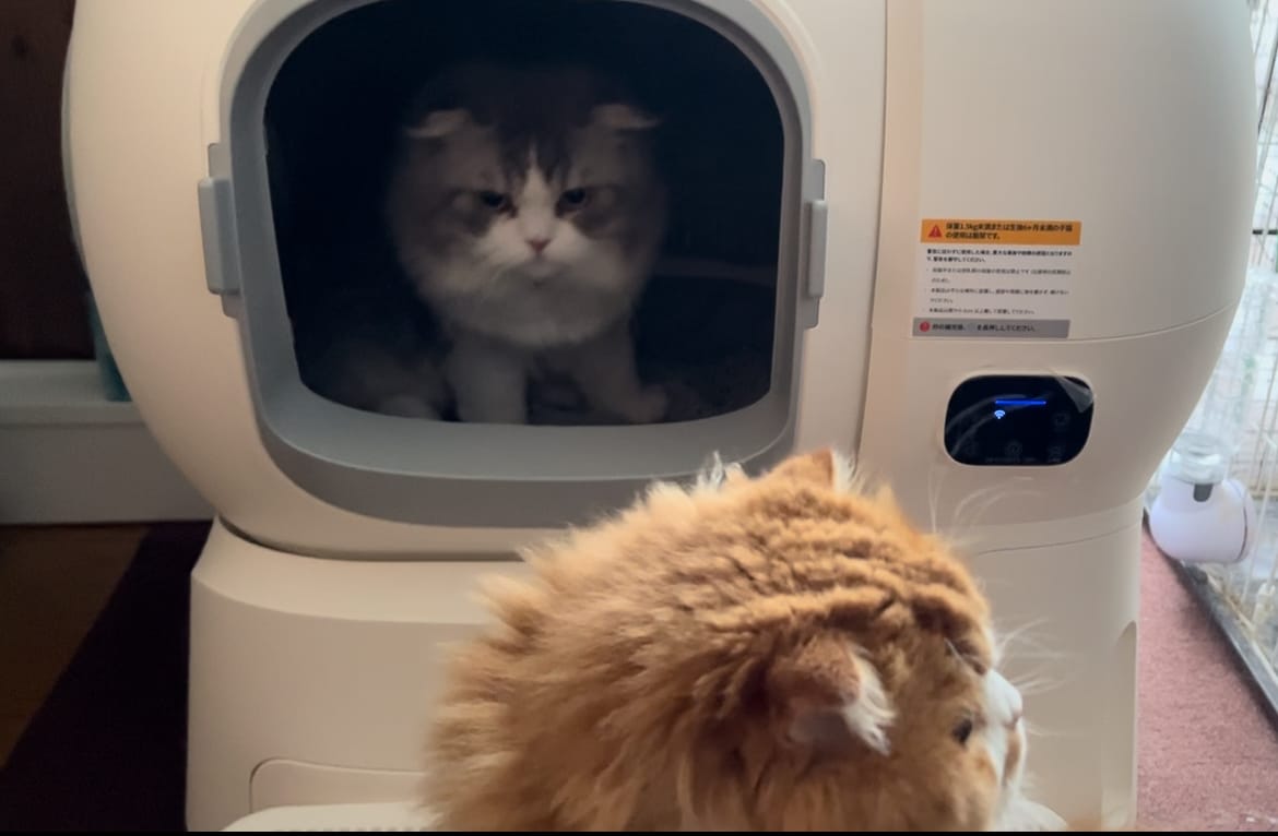 Customer photo review of homerunPET 全自動猫トイレ　Loobo Max（4月下旬発送）