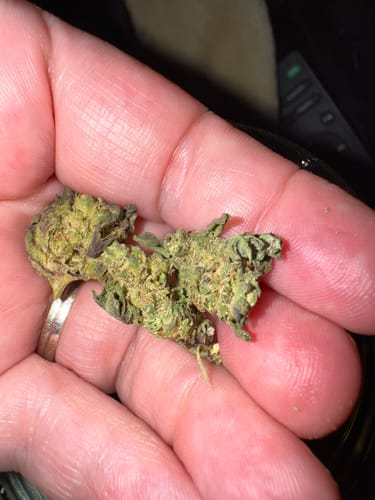 Customer photo review of Donny Burger THCA Flower Smalls