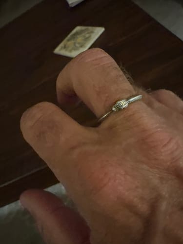 Customer photo review of Thin Ouroboros Ring